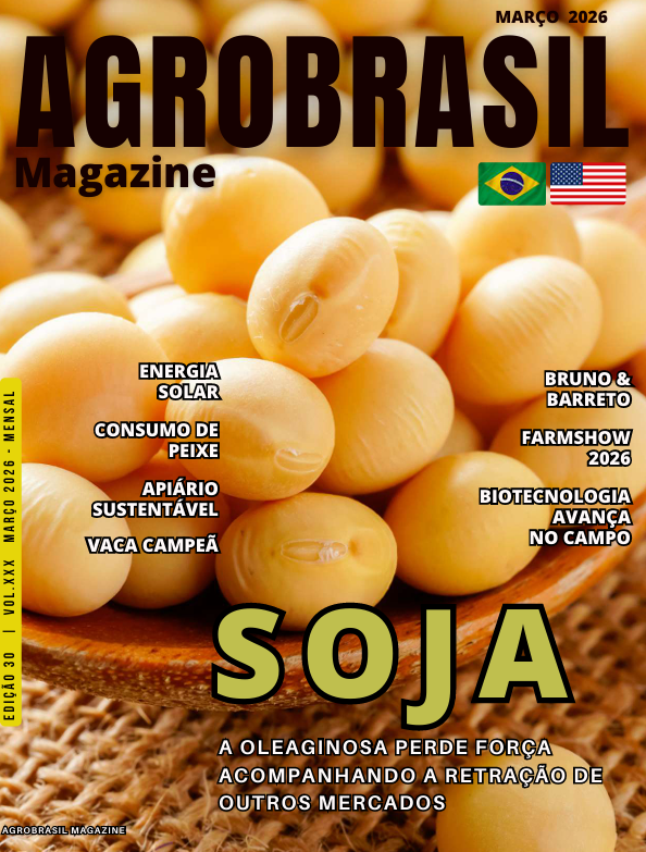 Capa 1