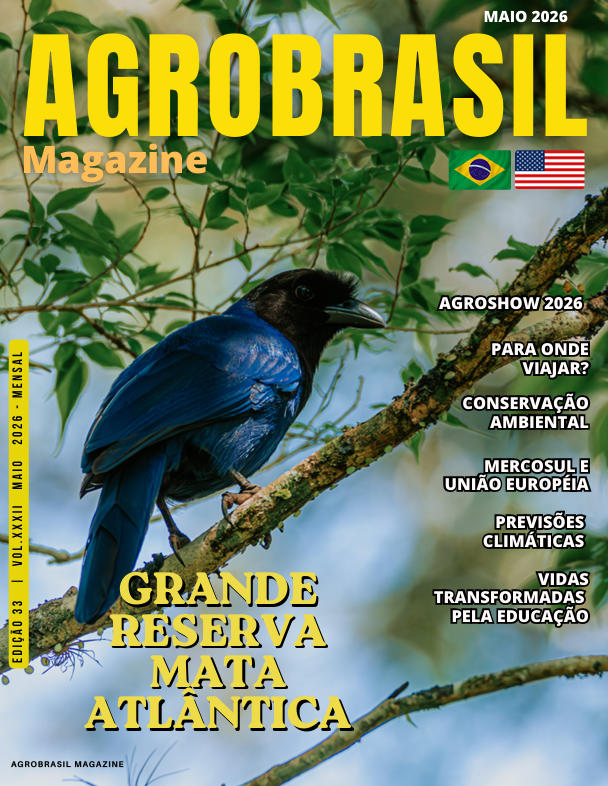 Capa 1