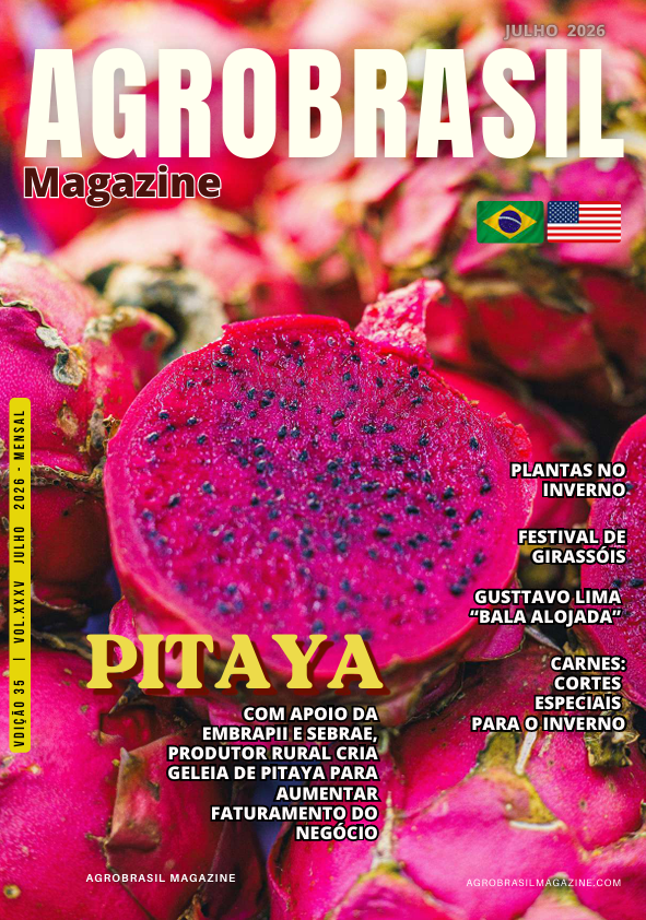 Capa 1
