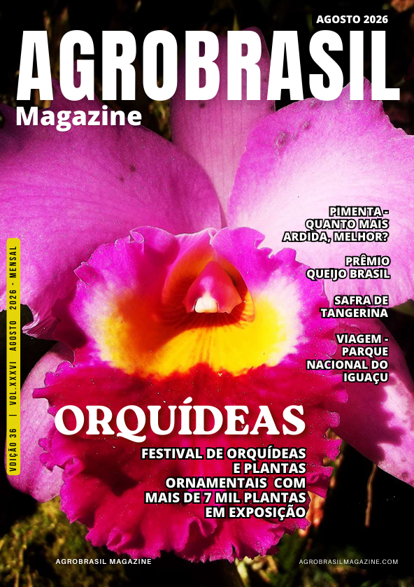 Capa 1