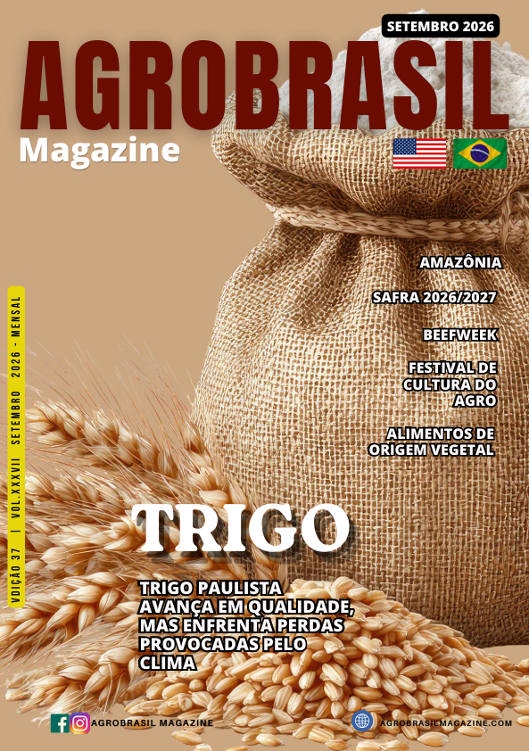 Capa 1